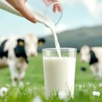 9996e994-dc4a-4ea9-8975-064ba376d693