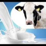 fb229706-fd4d-45dd-9e25-3796a702782c